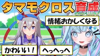 【すう】泣いたり喜んだり情緒不安定になる水宮さんと一緒にタマモクロスを育成しながらストーリーも一緒に楽しもうpart4【ホロライブ/切り抜き】