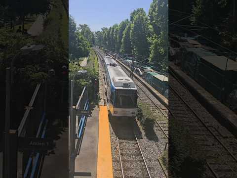 Tentando chegar em uma reserva florestal em Buenos Aires