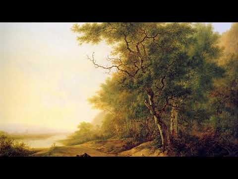 Antonio Rosetti/Anna von Schaden: Piano Concerto in B-Flat Major, C4