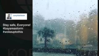 One Wet Day Around the Bay