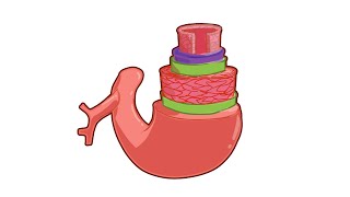 At-home Arterial Plaque and Health Assessment