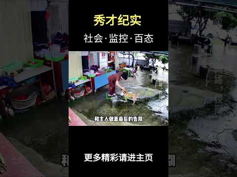 狗狗真的会背着主人偷偷去汪星，不想让主人伤心 #名場面 #離譜操作 #雜談