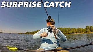 preview picture of video 'Surprise Catch while Kayak Fishing at Cotton Hill Campground'