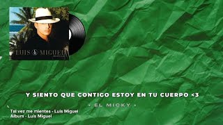 Tal vez me mientes • Luis Miguel | Letra