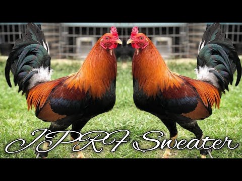 Beautiful JPRF Sweater - JPRF FARM,Texas