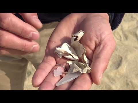 14 Nagata Inakahama Beach 永田いなか浜