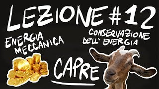Teoria #12 - ENERGIA MECCANICA, CONSERVAZIONE dell'ENERGIA, CAPRE
