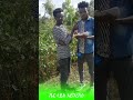 Habesha Gelila Tigray Dance