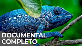 Thumbnail del capítulo