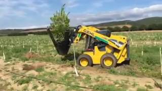 Gehl V400 with Tree Transplanter Attachment