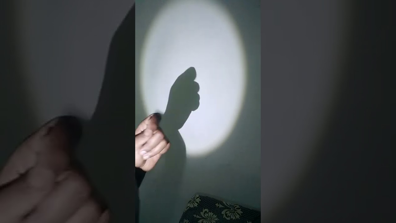 🐦 acting hand shadow puppet show