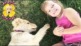 Project Primrose: Giving Our Puppy the Best Year Possible! | Crazy8Family