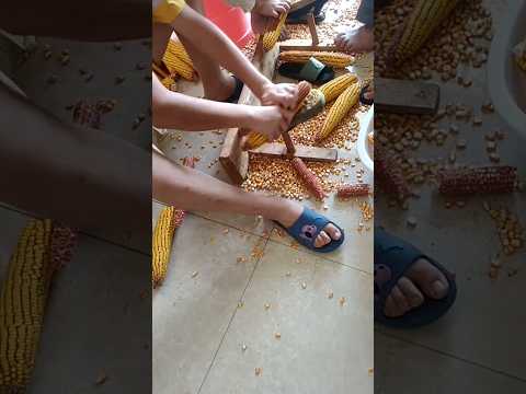 #shorts #agriculture #farming2024 #satisfying #machine #shot #tools  #EliteShortsUnleashed #5648