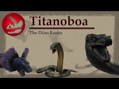 Titanoboa | The Serpent Sovereign | Dino Basics