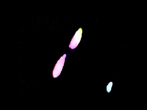 biofotones - la esencia de la vida - 3