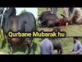 Eid Mubarak Ho | Bakra Eid Mubarak Video | Eid ul Adha Mubarak Wishes | Qurbane Ka Janwer 2021