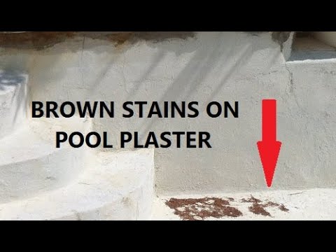 Brown Stains on Pool Plaster