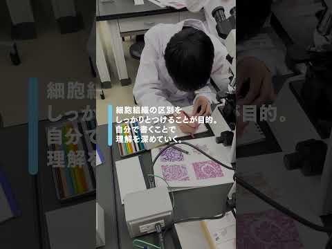 経営学科 解剖学演習　#臨床検査技師　#shorts