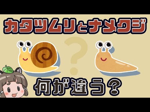 園芸 ナメクジやカタツムリとの戦い