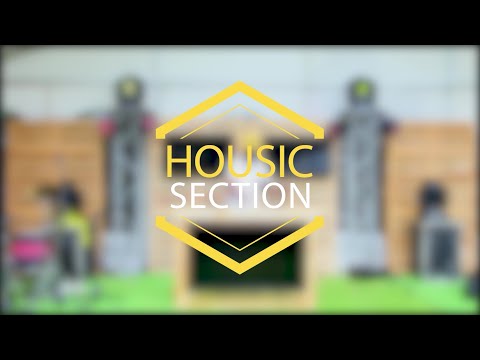 HOUSIC Section - DJ Wolf