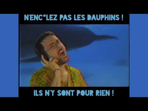 N’enc*lez Pas Les Dauphins 🐬 ! - Joueur du Grenier