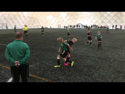 Hippo-turnaus 2015 D12 JyPK03U - PaRi