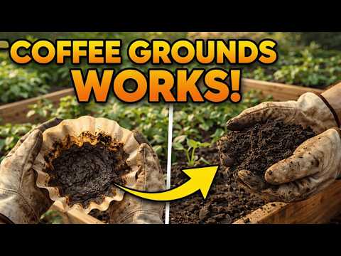 Don't Throw Away Coffee Grounds — This Is What Happens to Your Soil After 30 Days