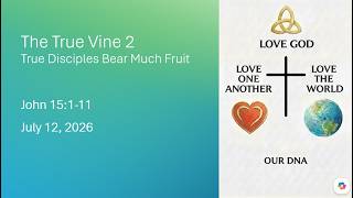 The True Vine 2