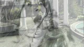 Sister Shake It ! by Jeff McDonald