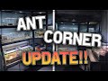 Ant Corner UPDATE Part 1 Ants Antkeeping Update