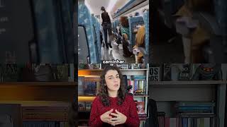 Filhote de cachorro se perde do dono em um avião!