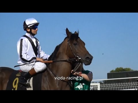 Gon. VI - 18.09.2016 - Salman Al Khalediah (Dormane - Jaleelat Al Khalidiah)