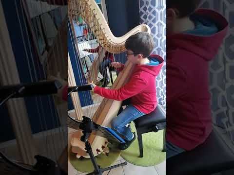 Francesco Montesano, arpa