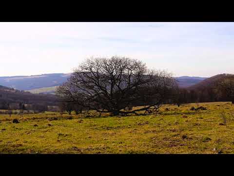 Rhön Drohne - Dreiländereck Lange Rhön 1080p