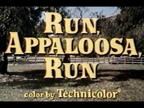 Run, Appaloosa, Run - The Wonderful World of Disney
