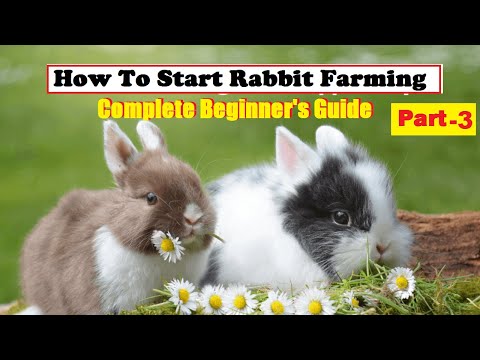 , title : 'How To Start Rabbit Farming Business | Complete Beginners Guide | Part 3 |'