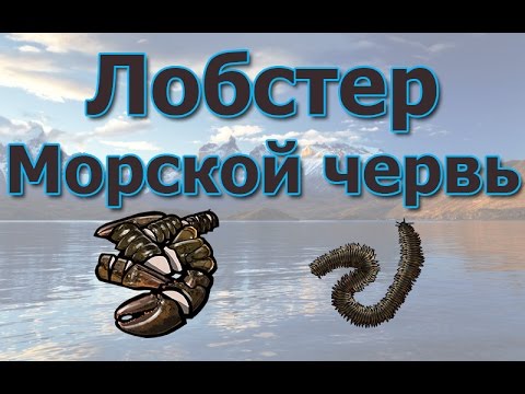 Русская Рыбалка 3.99 (Russian Fishing) Лобстер и Нереис на Северном склоне