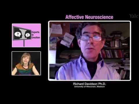 Richard Davidson on Affective Neuroscience