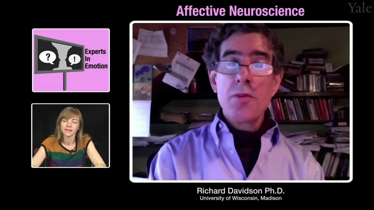 Richard Davidson on Affective Neuroscience