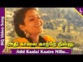 Thalai Vaasal Tamil Movie Songs Athi Kaalai Kaatre Nillu Video Song S Janaki Pyramid Music