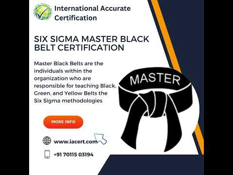 6 Months Six Sigma Master Black Belt Training