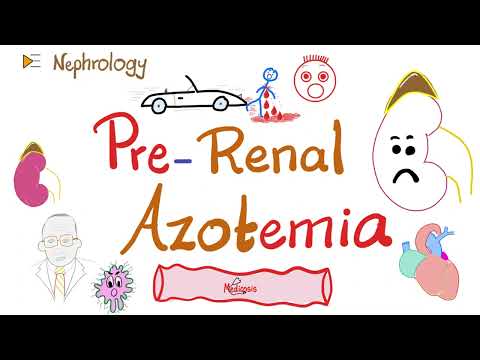 Prerenal Azotemia - Acute Renal Failure - Acute Kidney Injury (AKI) - Pathology - Nephrology Series