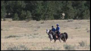 Fort Howes 100-mile team endurance ride -- September 22, 2007