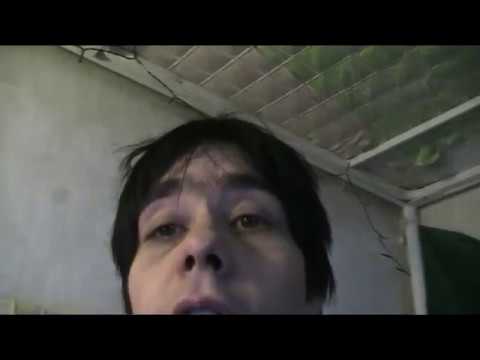 Päivä melkein pulkassa