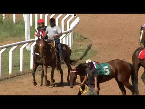 210213 c07 1° GUT AND GLORY - SINT MELO-