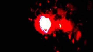 Hans Deyssenroth   Gamma Plasmid