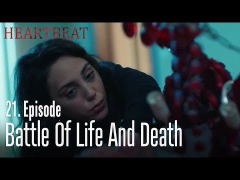 Battle of life and death - Heartbeat  Episode 21
