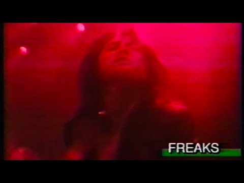 FENCE OF DEFENSE/①HONEY MONEY②FREAKS