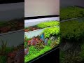 120 X 50 X 50 Aquarium