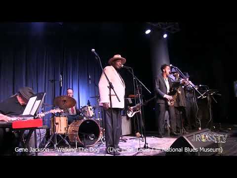 James Ross @ Gene Jackson - "Walking The Dog" - National Blues Museum - www.Jross-tv.com (St. Louis)